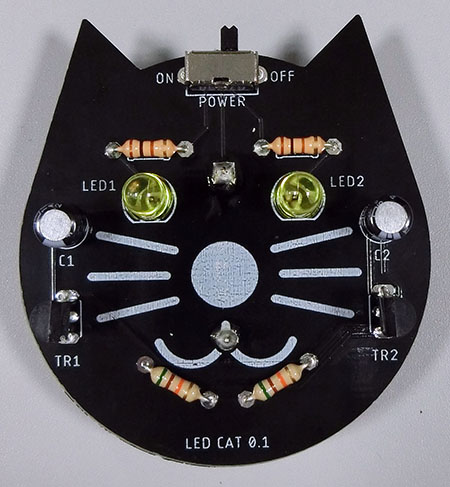 210808ledcat.jpg
