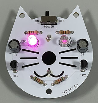 221009ledcat.jpg