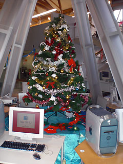 tree.jpg