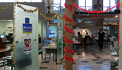 141124-5.jpg
